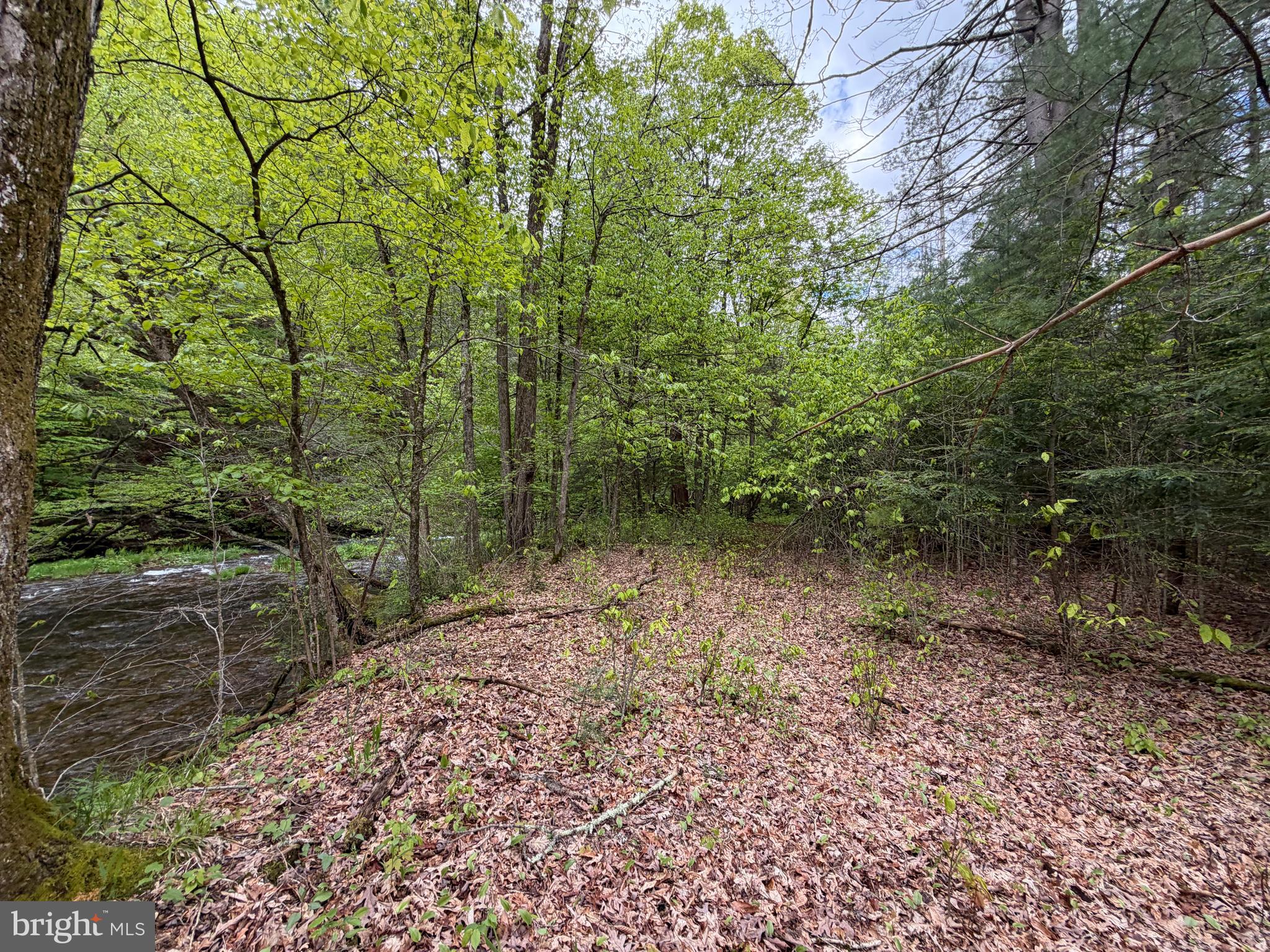 1227 Cross Fork Creek Road Cross Fork, PA 17729 - Photo 79 of 139