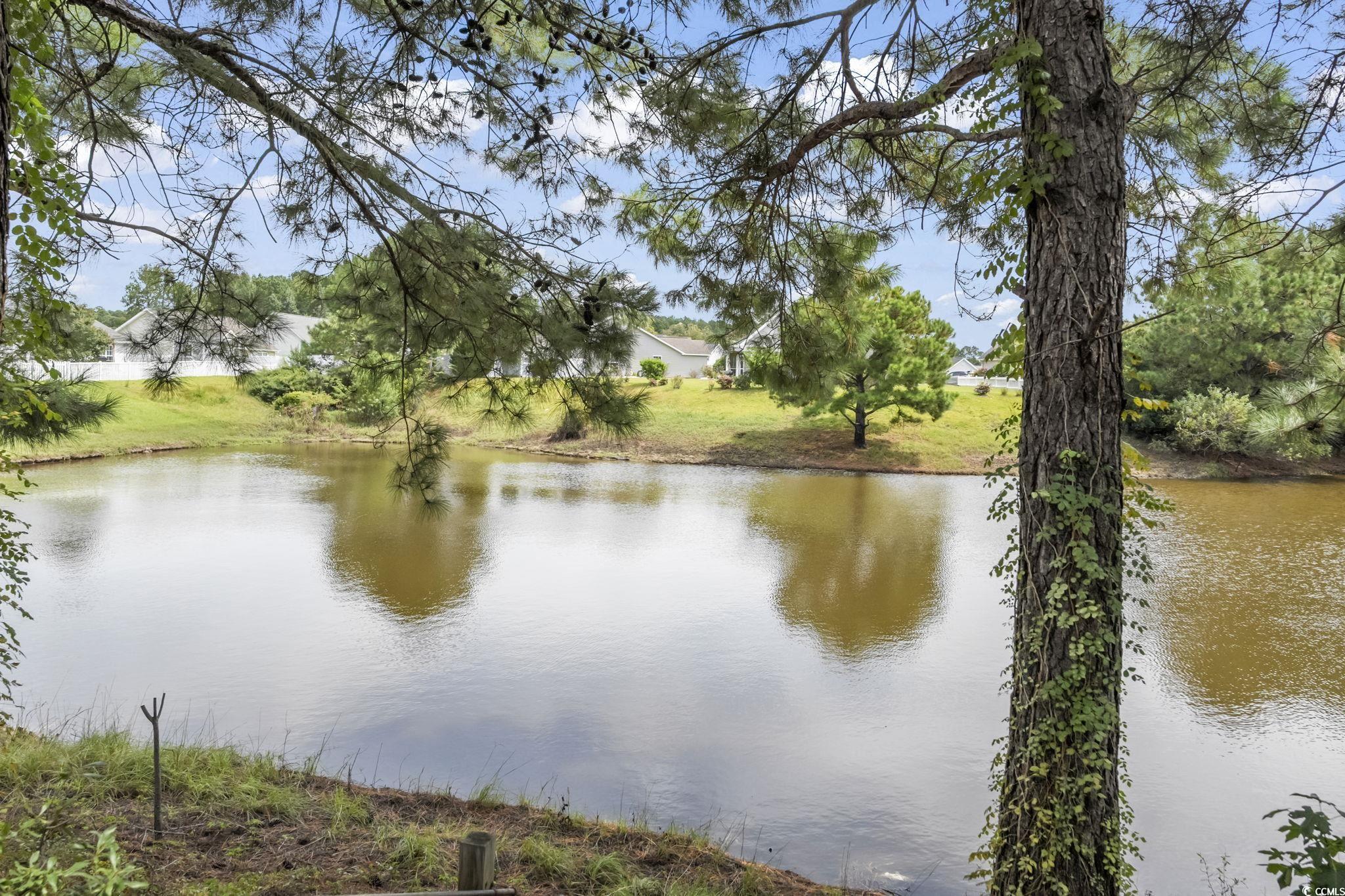 174 Heath Drive Longs, SC 29568 - Photo 36 of 40