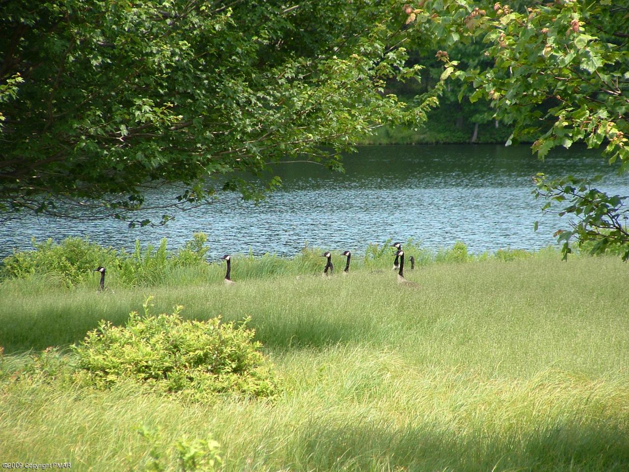 3111 Beaver Dam Road Long Pond, PA 18334 - Photo 11 of 43 Great Neighbors!