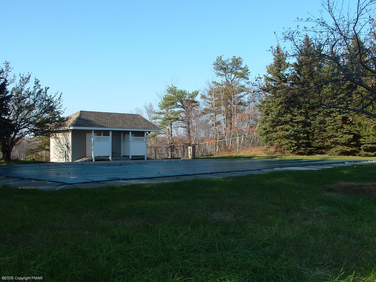 3111 Beaver Dam Road Long Pond, PA 18334 - Photo 15 of 43 Outdoor Pool