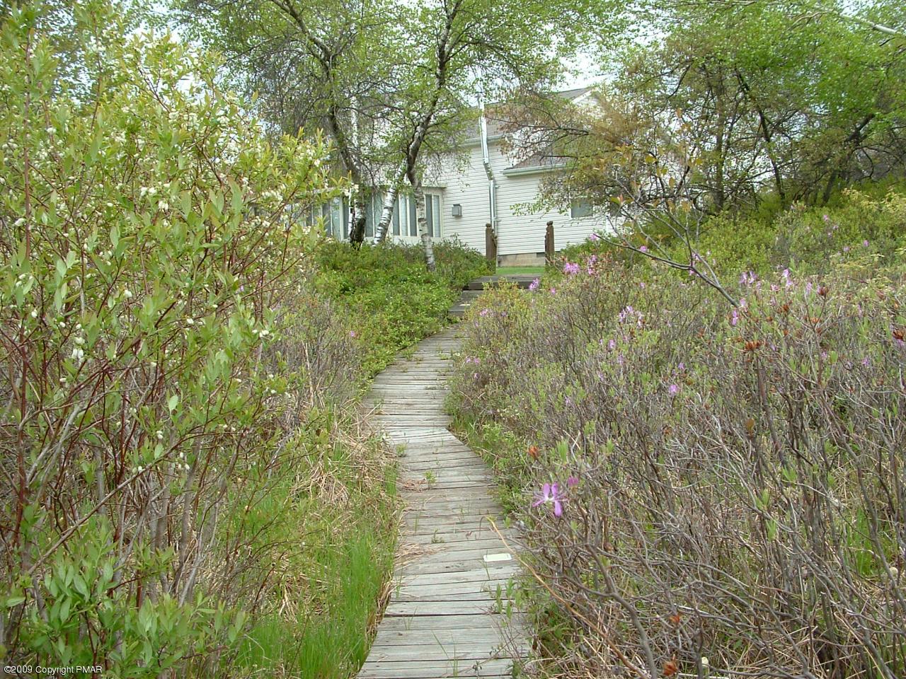 Boardwalk