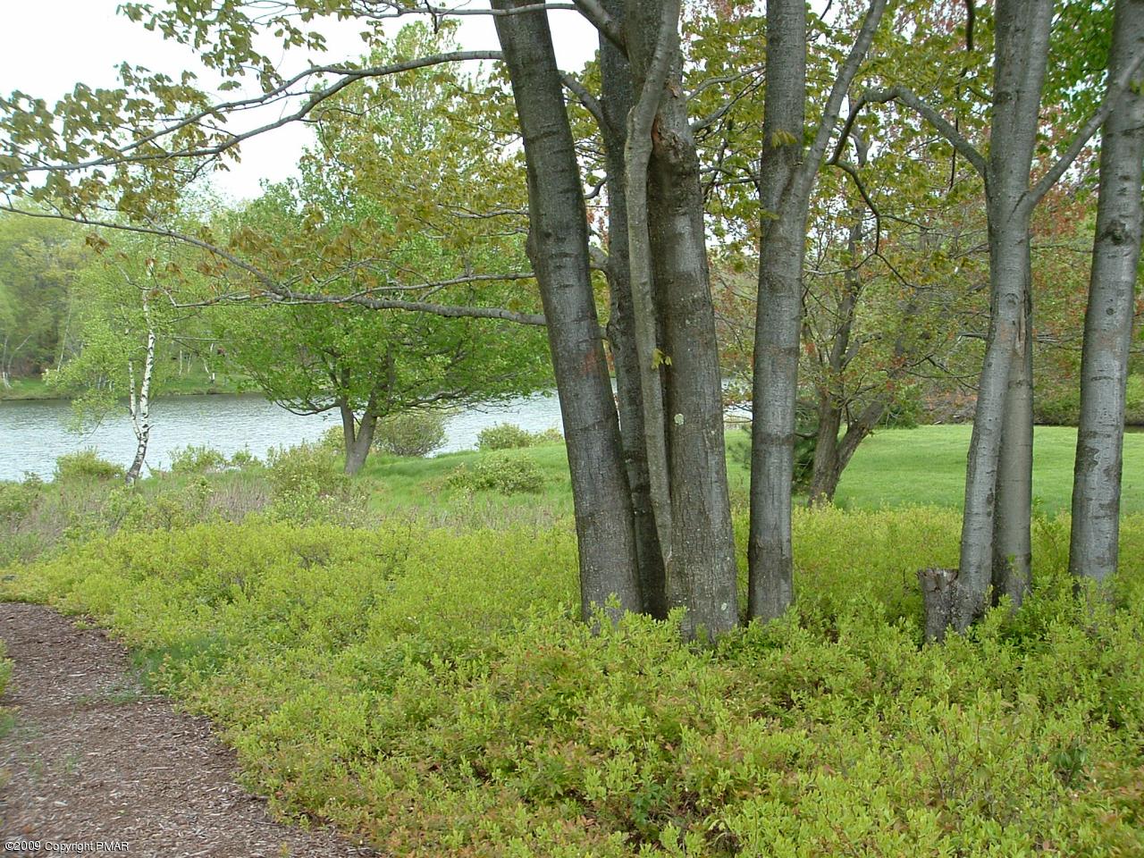 3111 Beaver Dam Road Long Pond, PA 18334 - Photo 10 of 43 View
