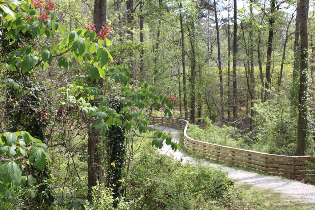 4062 Townsend Lane Atlanta, GA 30346 - Photo 50 of 52 a view of a yard with a tree