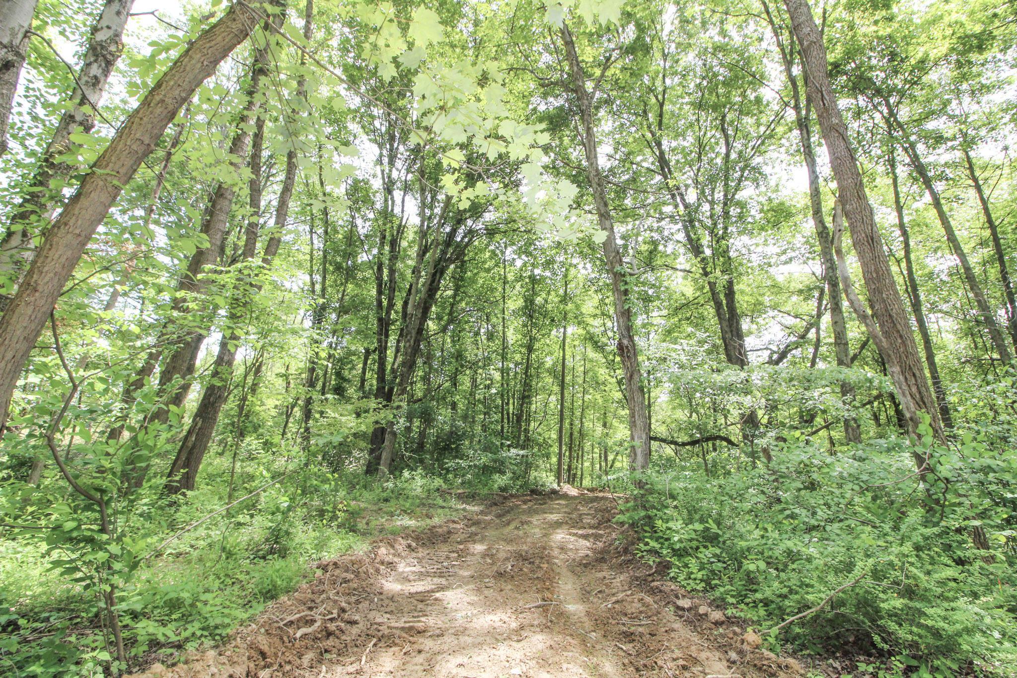 Lot 1 Mulberry Road Mount Perry, OH 43760 - Photo 14 of 31 15-IMG_8661