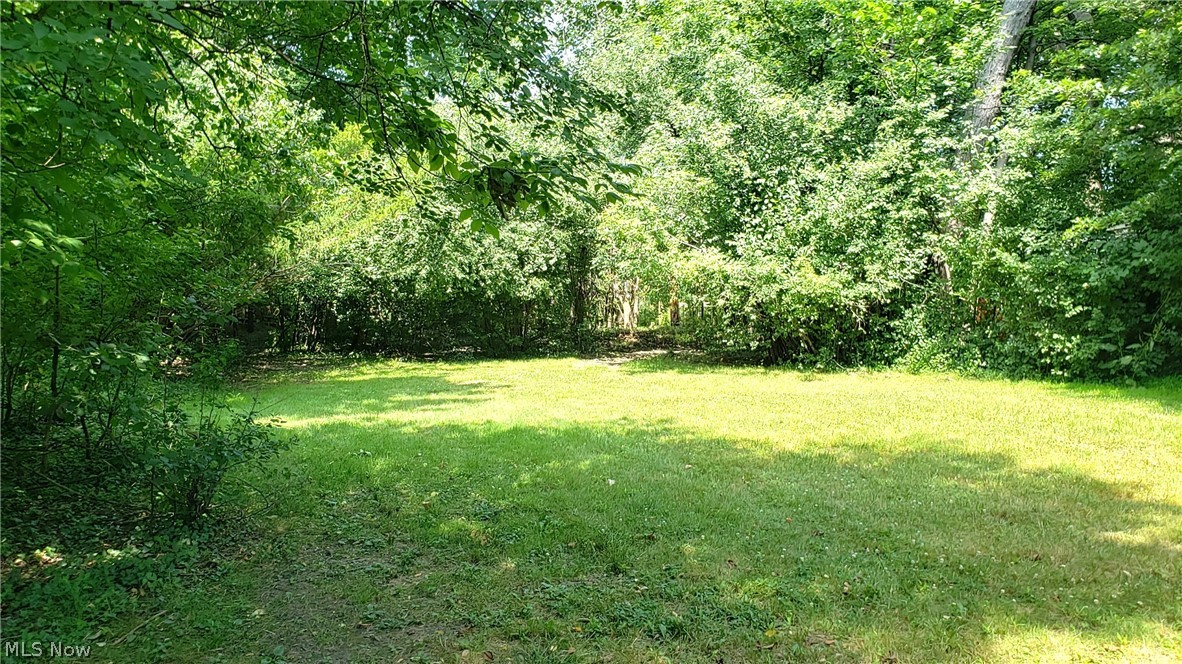 2468 Princeton Road Cleveland, OH 44118 - Photo 3 of 25