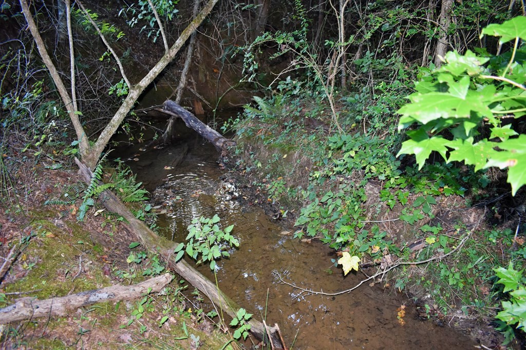 4354 Wolf Creek Road Spring City, TN 37381 - Photo 6 of 70 Gallery Image 6