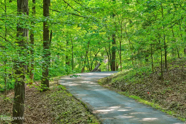 $1,075,000 | 300 Swan Bay Drive, Buchanan, TN 38222