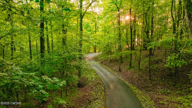 $1,075,000 | 300 Swan Bay Drive, Buchanan, TN 38222