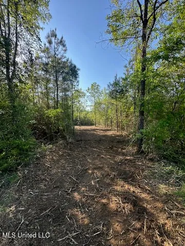 $23,000 | Matthews, Tylertown, MS 39667