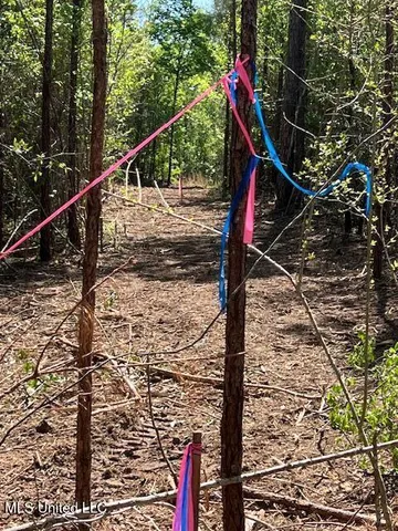 $23,000 | Matthews, Tylertown, MS 39667