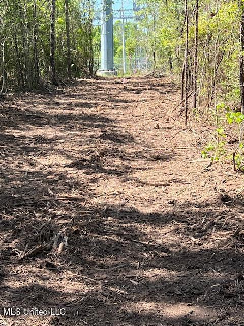 Matthews Tylertown, MS 39667 - Photo 12 of 21 IMG_0909