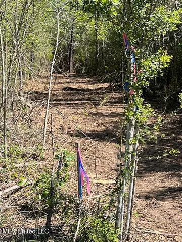 $23,000 | Matthews, Tylertown, MS 39667