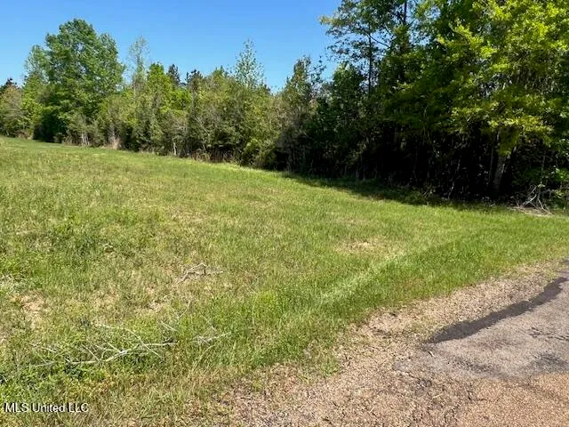 $23,000 | Matthews, Tylertown, MS 39667