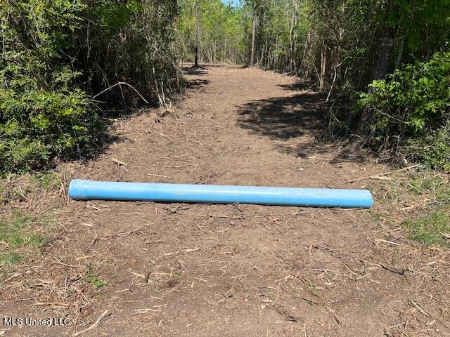 Matthews Tylertown, MS 39667 - Photo 18 of 21 IMG_0897