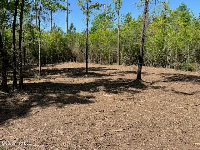 $23,000 | Matthews, Tylertown, MS 39667