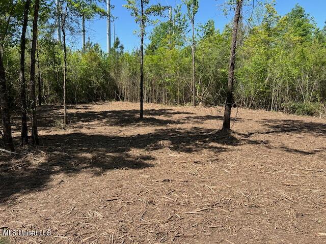 Matthews Tylertown, MS 39667 - Photo 3 of 21 IMG_0901