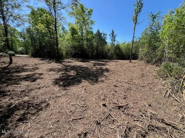 $23,000 | Matthews, Tylertown, MS 39667