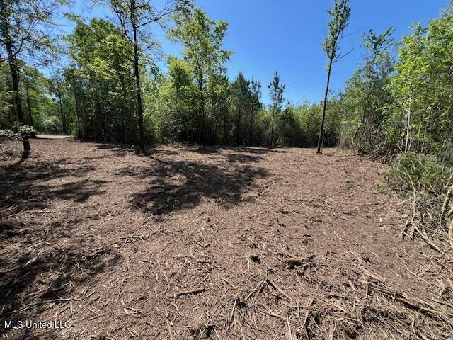 Matthews Tylertown, MS 39667 - Photo 4 of 21 IMG_0902