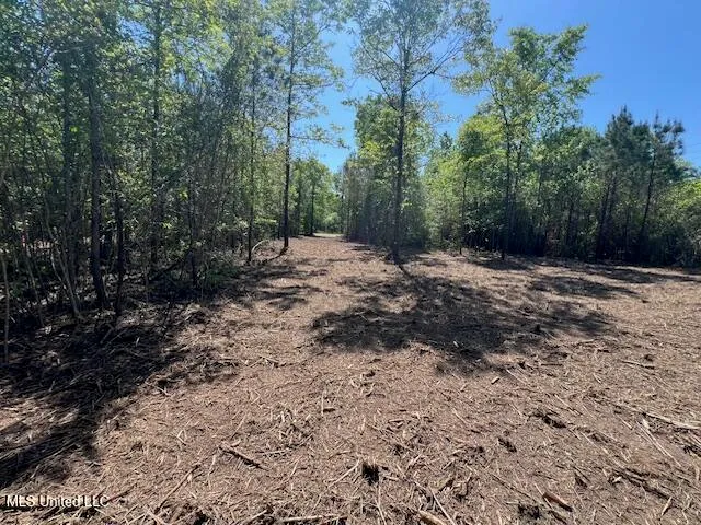 $23,000 | Matthews, Tylertown, MS 39667