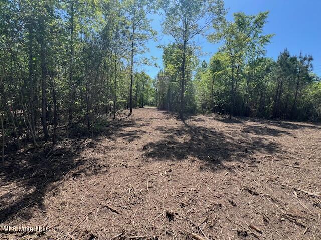 Matthews Tylertown, MS 39667 - Photo 5 of 21 IMG_0903