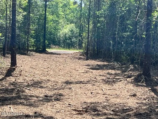 $23,000 | Matthews, Tylertown, MS 39667