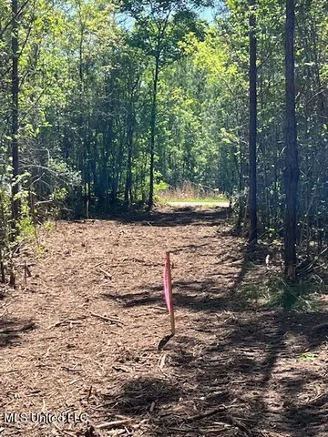 $23,000 | Matthews, Tylertown, MS 39667