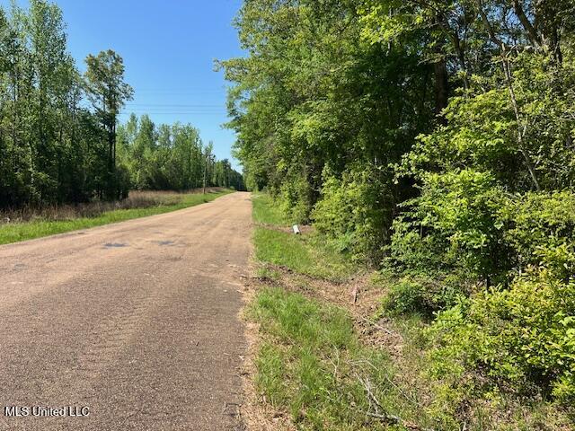 Matthews Tylertown, MS 39667 - Photo 8 of 21 IMG_0899