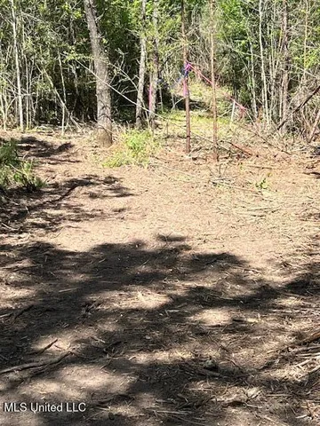 $23,000 | Matthews, Tylertown, MS 39667