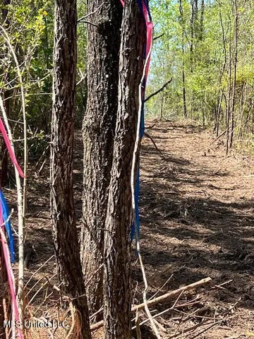 $23,000 | Matthews, Tylertown, MS 39667