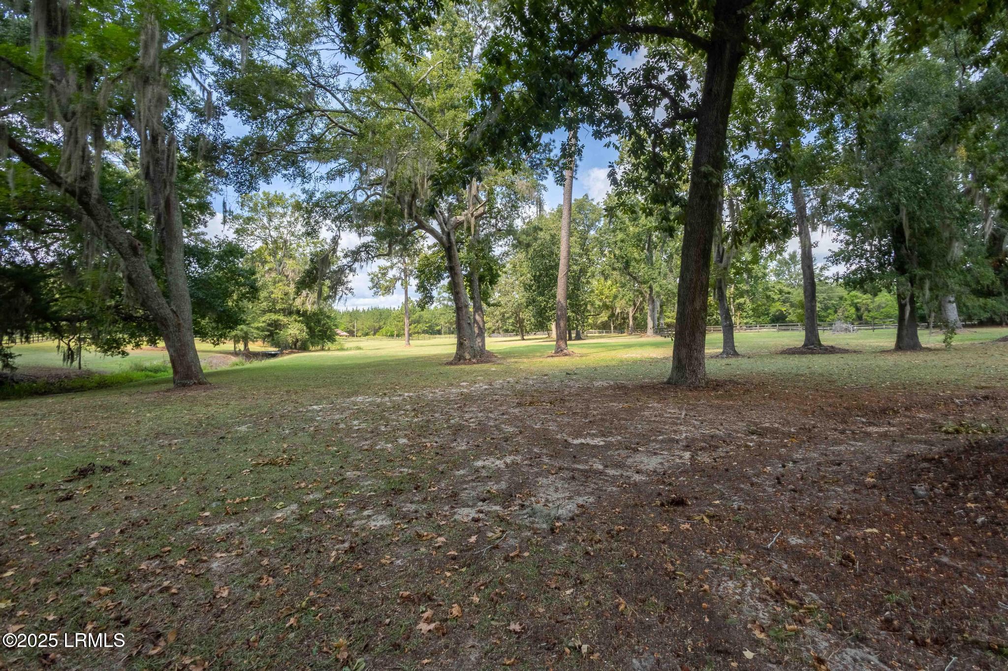 831 State Rd S-3-40 Fairfax, SC 29827 - Photo 86 of 89 IMG_3063-HDR