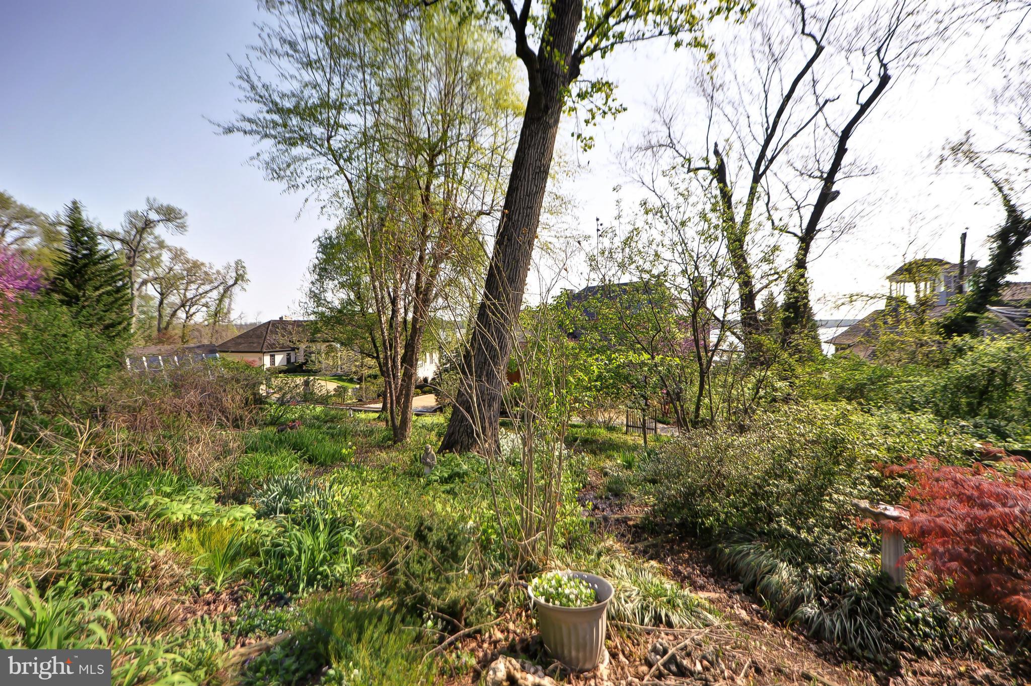 7699 Northdown Road Alexandria, VA 22308 - Photo 22 of 26 Exterior (Rear)