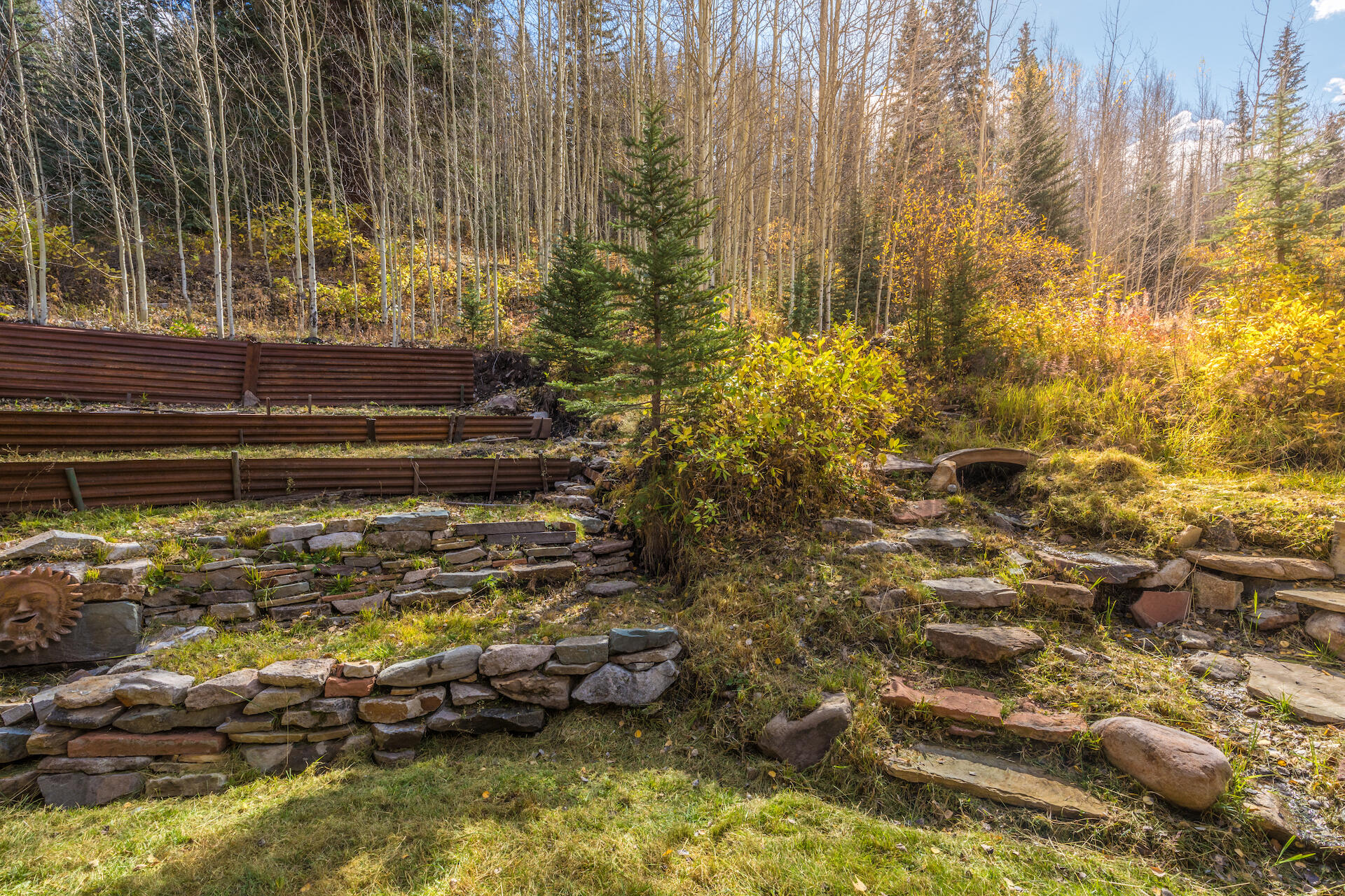 15 South Garfield Street Rico, CO 81332 - Photo 38 of 43