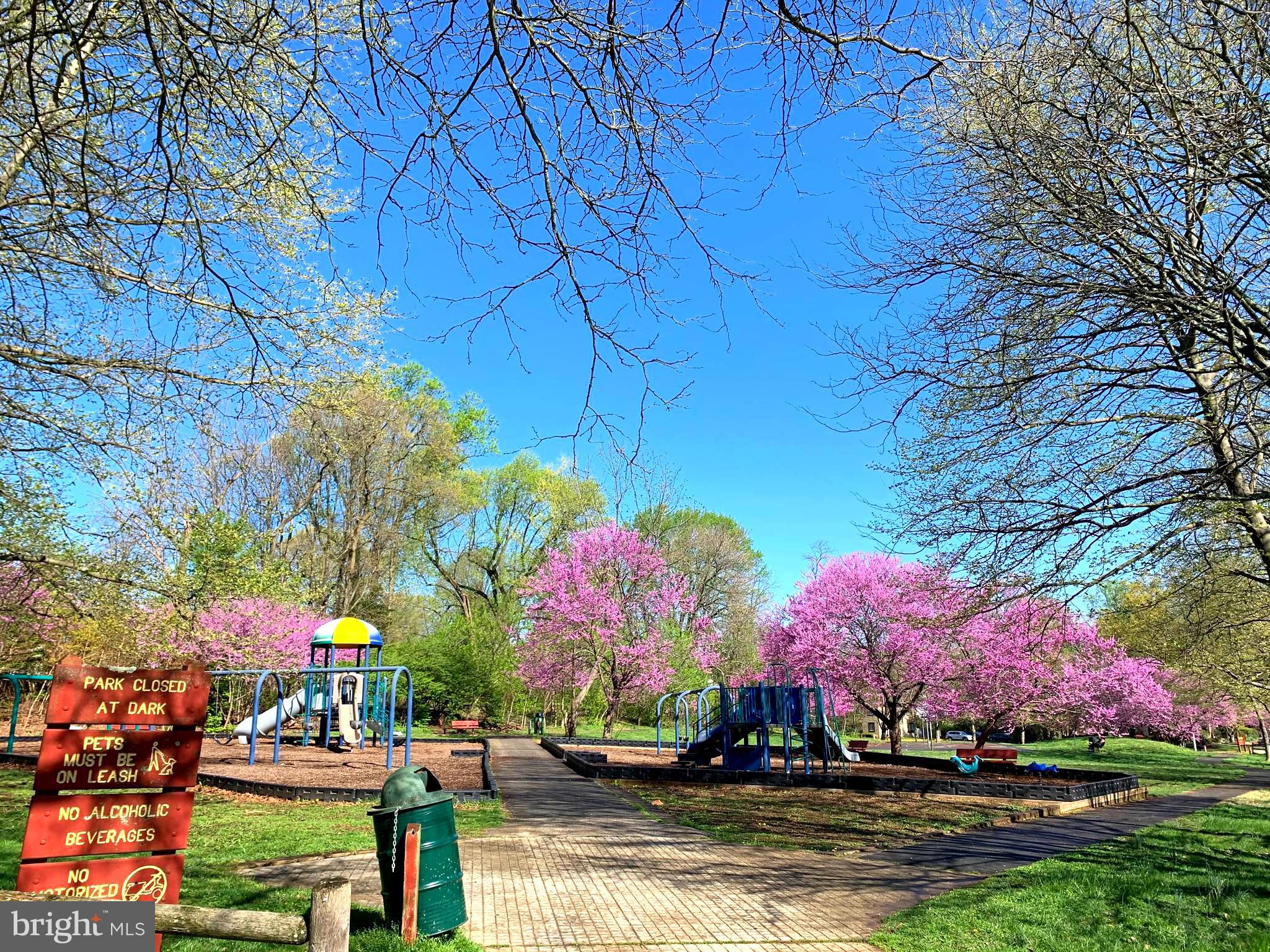 3151 Borge Street Oakton, VA 22124 - Photo 44 of 46 nearby the park