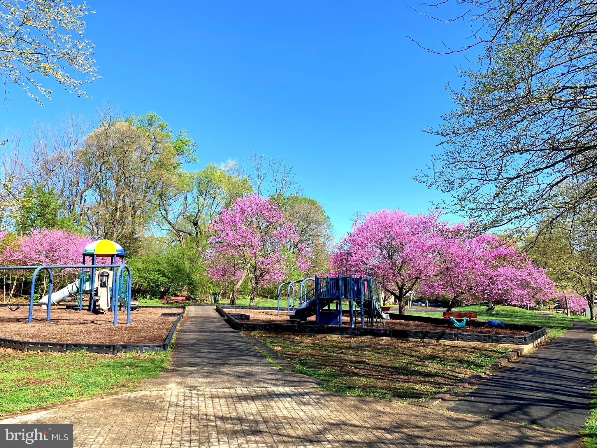 3151 Borge Street Oakton, VA 22124 - Photo 45 of 46 nearby the park