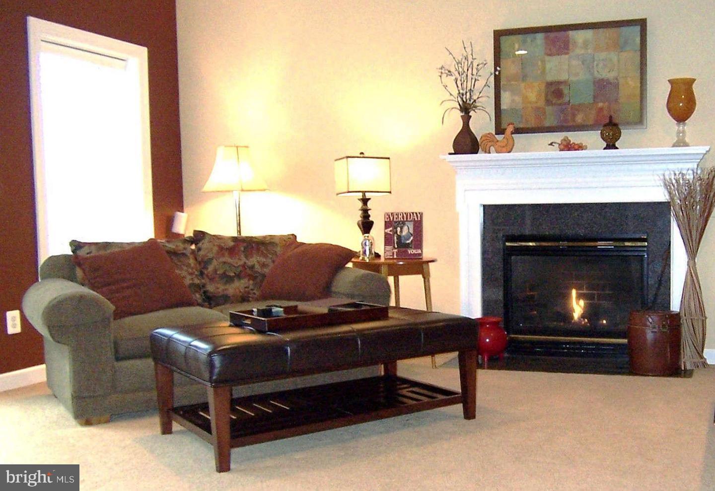 19123 Stream Crossing Court Leesburg, VA 20176 - Photo 19 of 30 a living room with furniture and a fireplace