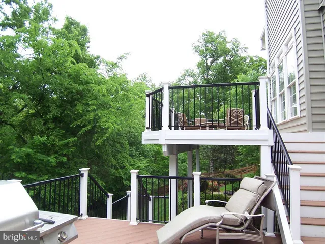 a view of backyard and trees