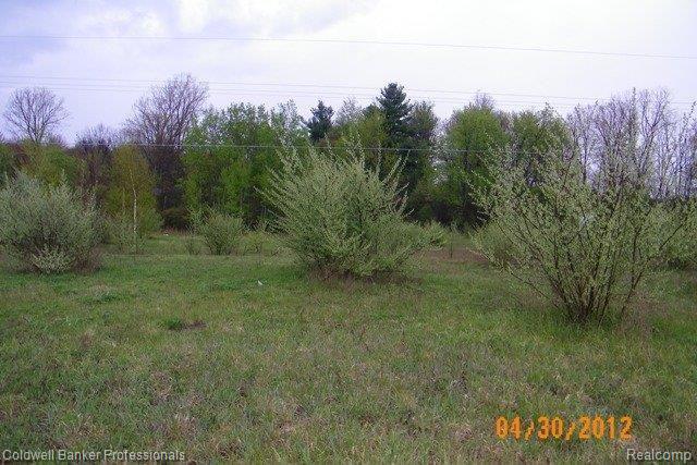 Par I Par I Burnside Road North Branch, MI 48461 - Photo 1 of 1 Par I Burnside Rd..jpg