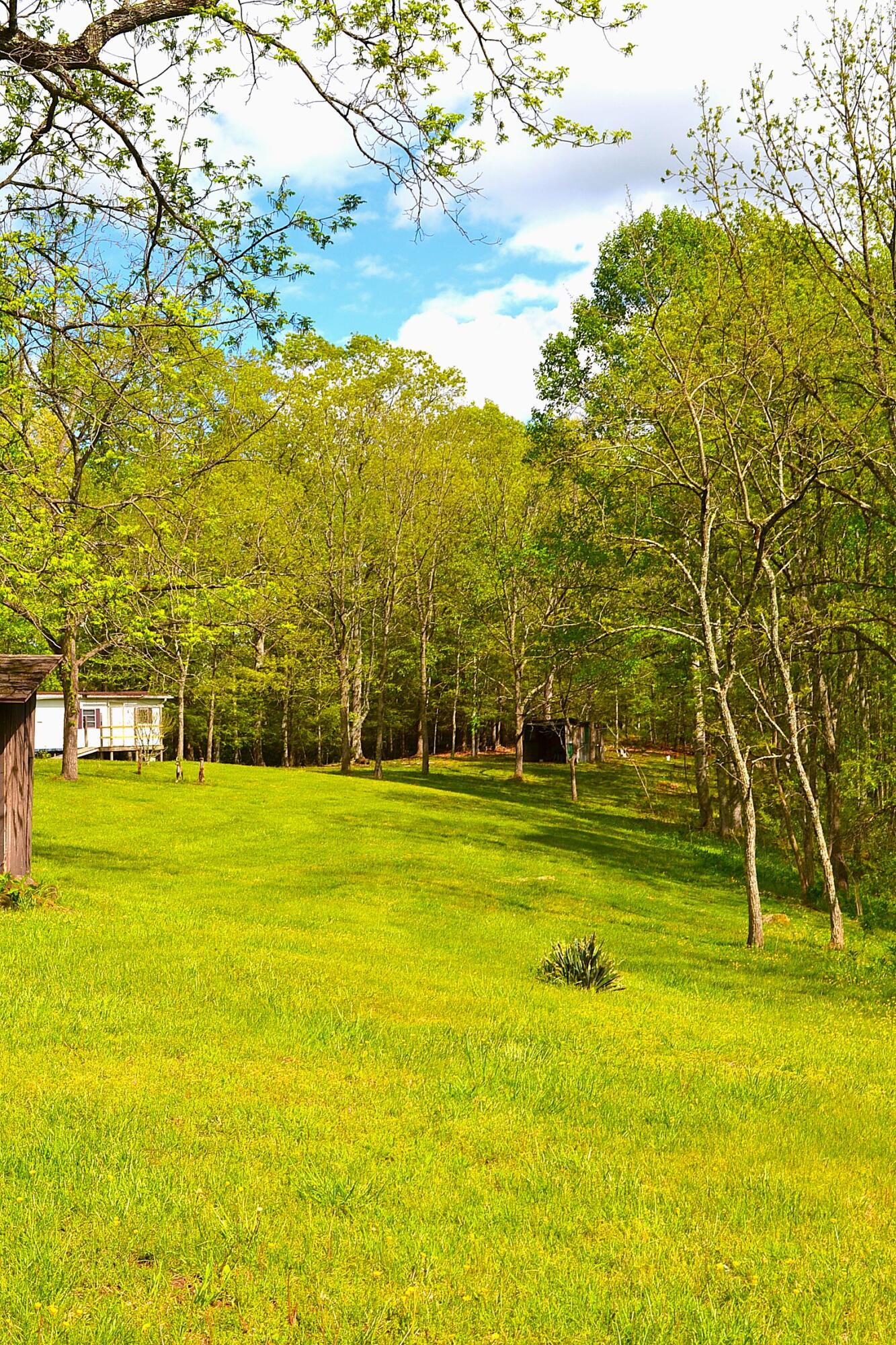 4250 Julia Road Renick, WV 24966 - Photo 18 of 64 Gallery Image 18