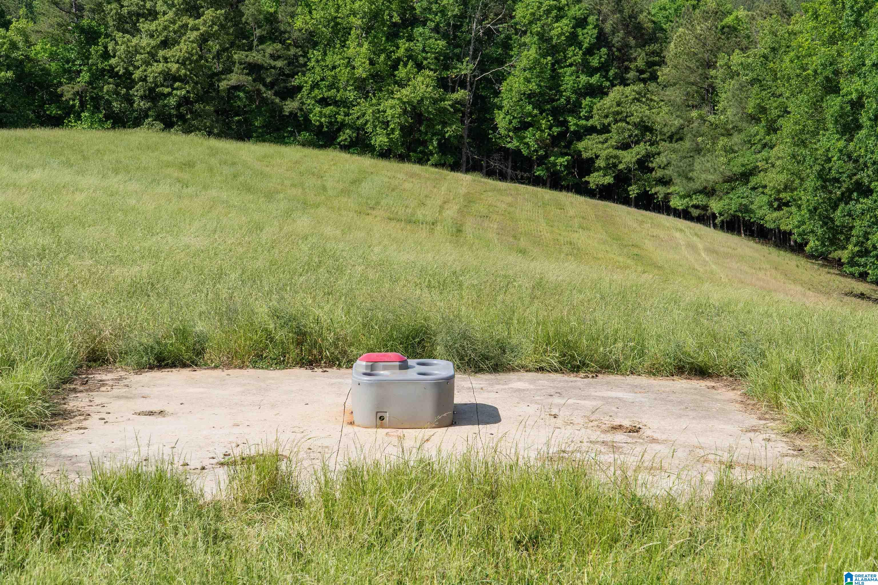 1435 County Road 633 Ranburne, AL 36273 - Photo 69 of 96