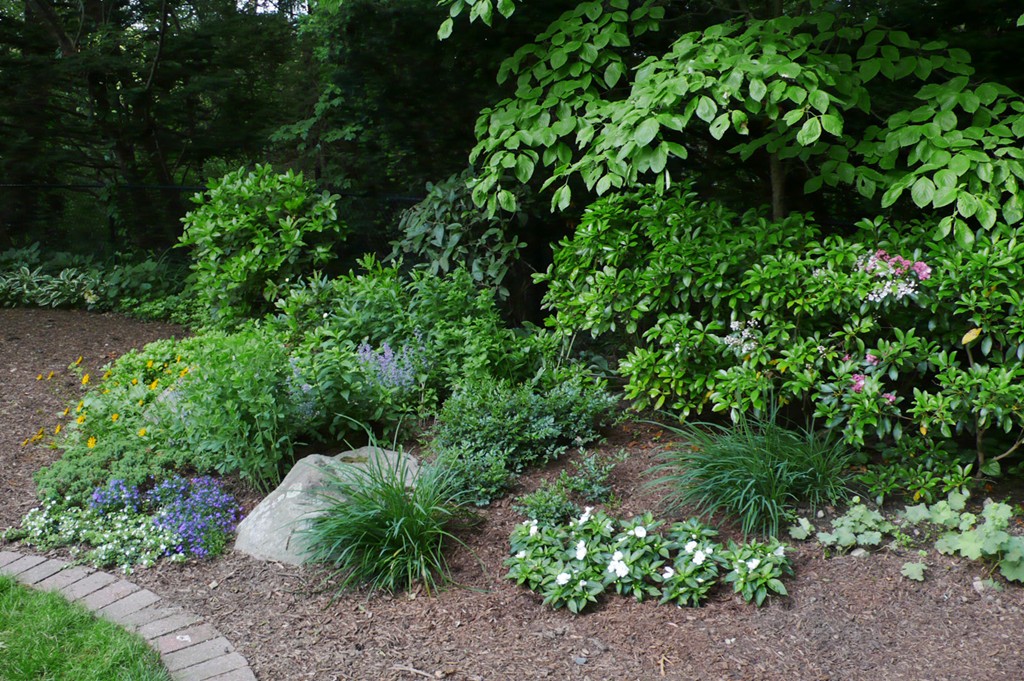 56 Morningside Road Needham, MA 02492 - Photo 10 of 30
