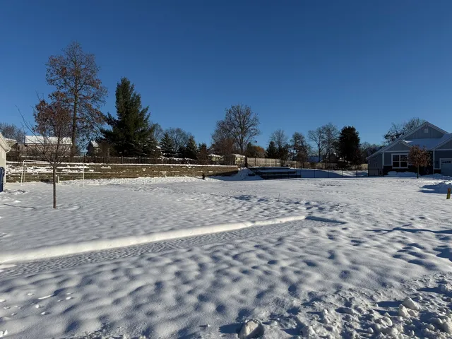 a view of a yard with a trees