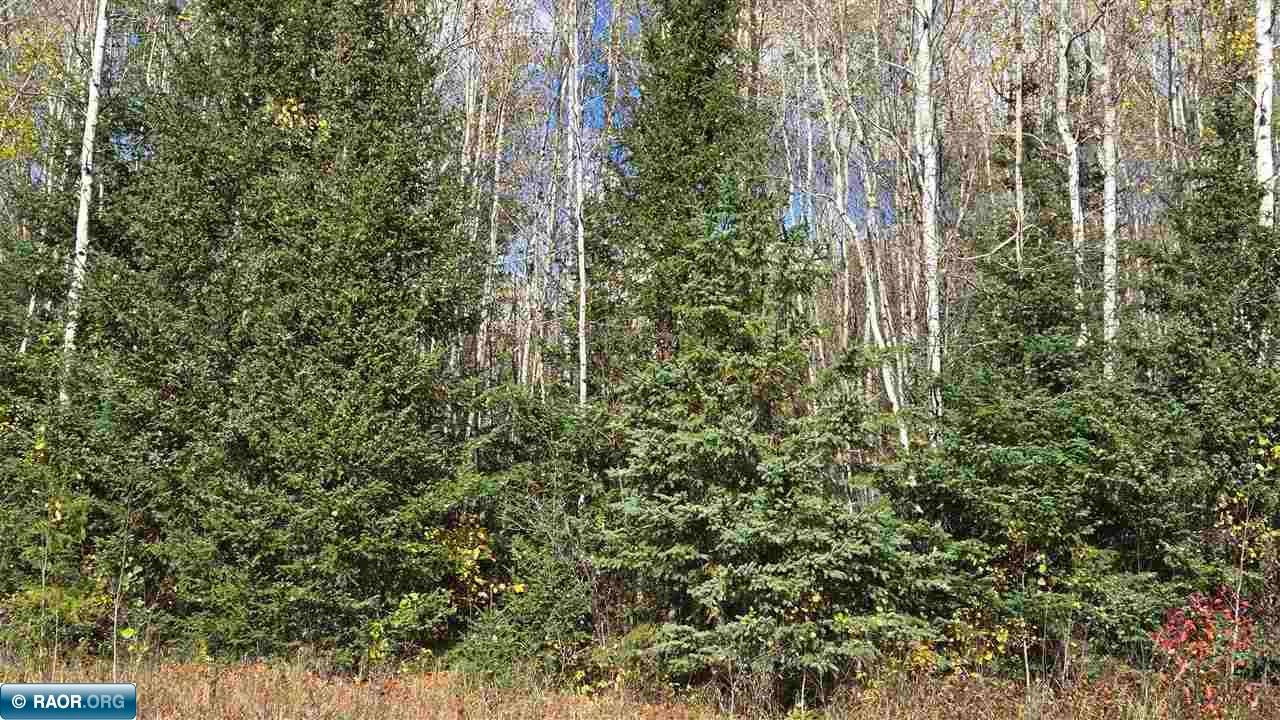 28.9 Rangeline Road Orr, MN 55771 - Photo 17 of 24 Gallery Image 17