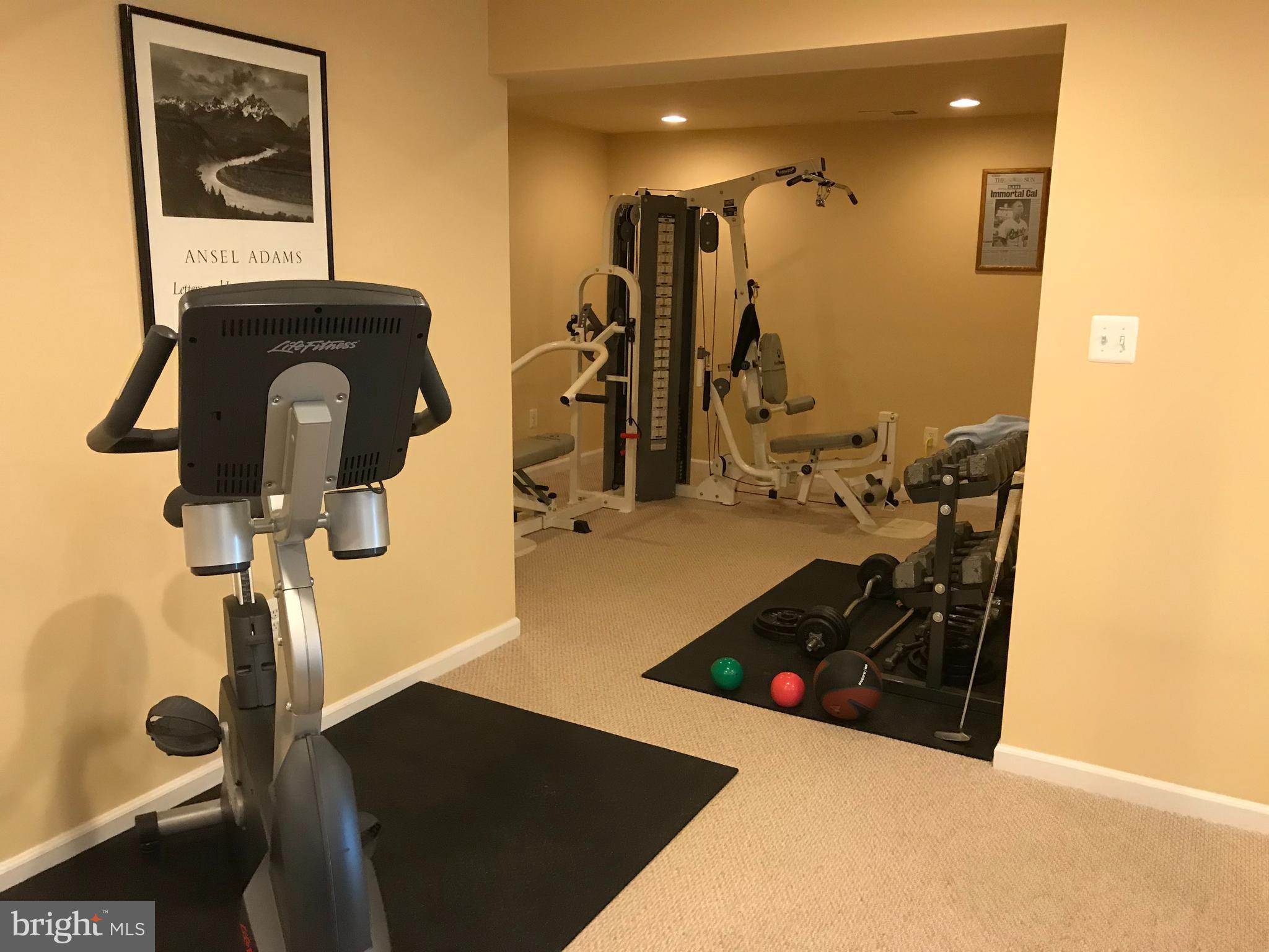 501 Potomac View Parkway Brunswick, MD 21716 - Photo 3 of 16