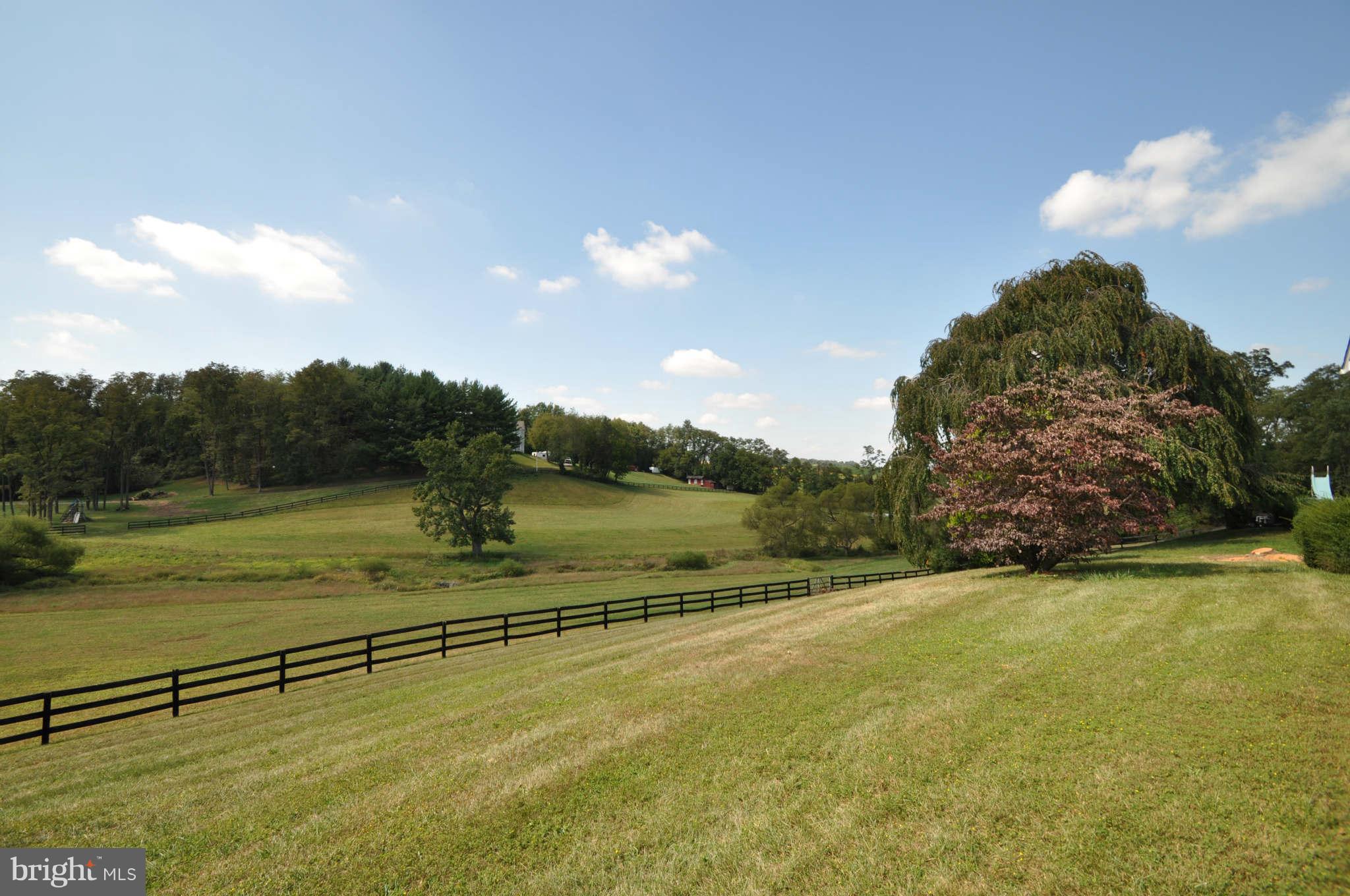 1454 Pleasant Valley Road Westminster, MD 21158 - Photo 2 of 27 WHAT A GREAT PLACE TO ROAM