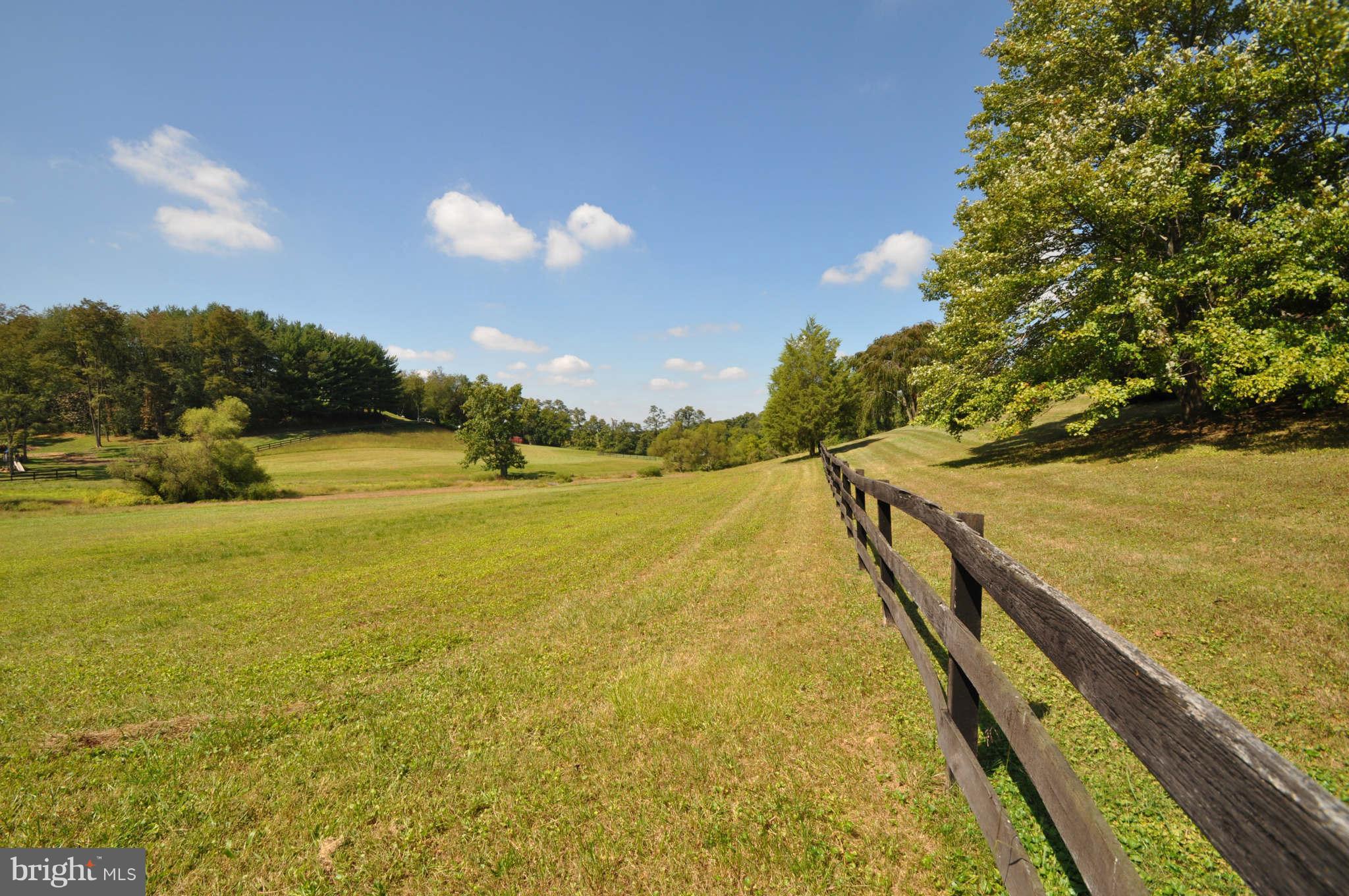 1454 Pleasant Valley Road Westminster, MD 21158 - Photo 3 of 27 VIEW OF PASTURE FROM ROAD
