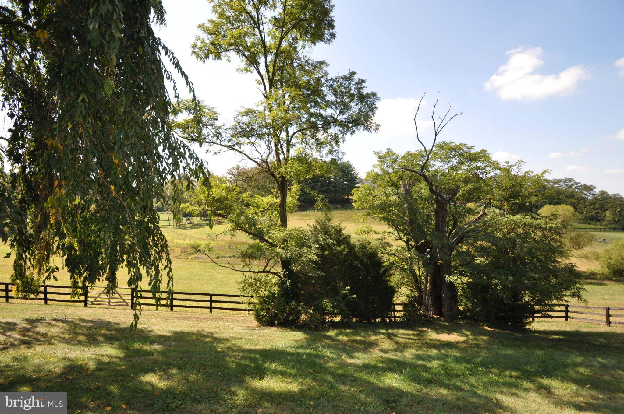 1454 Pleasant Valley Road Westminster, MD 21158 - Photo 6 of 27 MOTHER NATURE IN HER GLORY