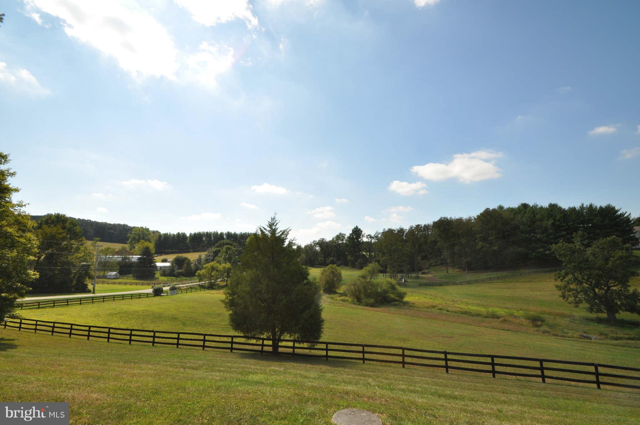 1454 Pleasant Valley Road Westminster, MD 21158 - Photo 7 of 27 SO PEACEFUL IF I WERE A HORSE I WOULD LOVE IT!