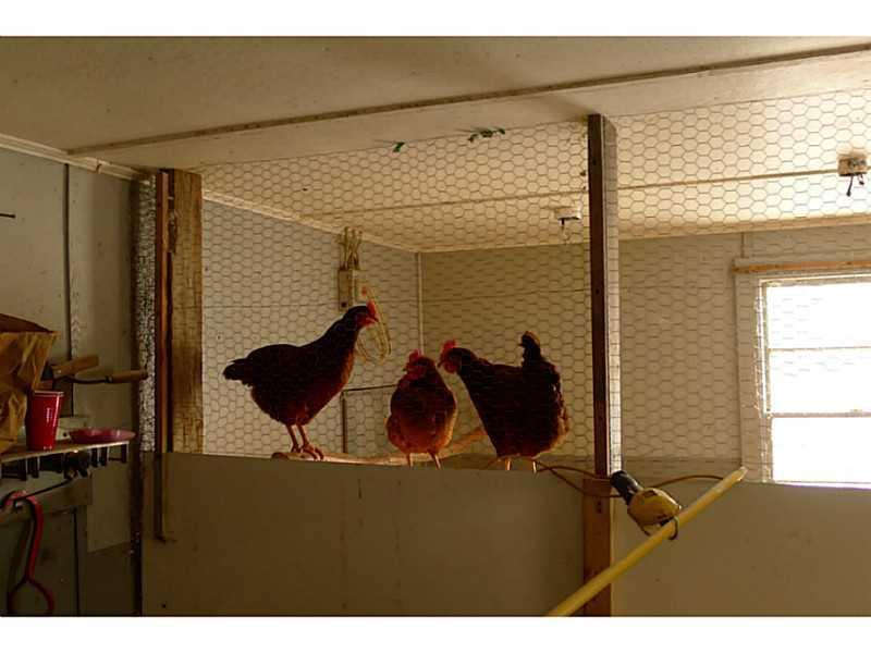 1128 River Road Livermore, ME 04253 - Photo 26 of 35 Other. Room for God s creatures,...