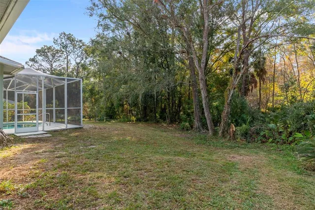 a view of a backyard with large trees