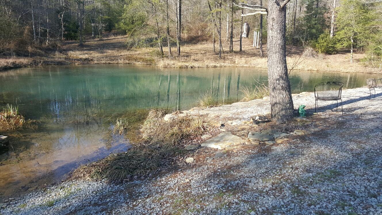 4512 Dogwood Road Grandview, TN 37337 - Photo 8 of 14 20160226_154920_resized
